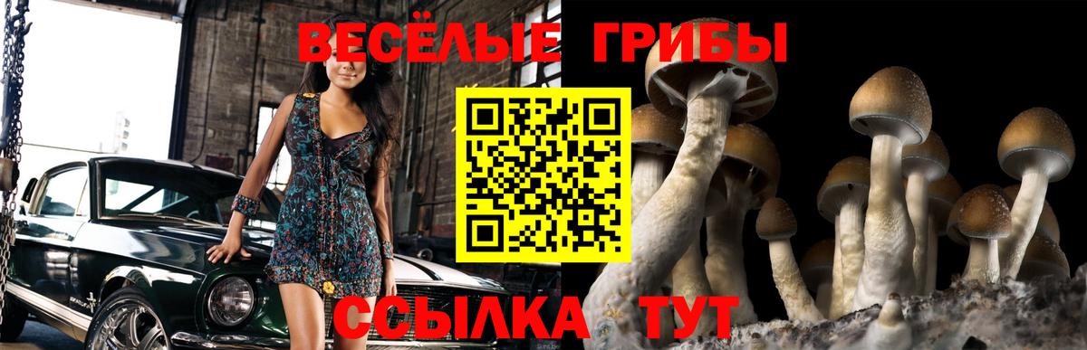 Галлюциногенные грибы Psilocybine cubensis  Вход с VPN  Зима 